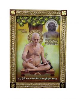 Special 3D effect art work on mdf with unbreakable chemical coating/Acharya Shri Vidhyasagar Ji Maharaj